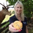 Venison pies latest tasty food treat