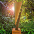 2019 Award winners