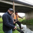 Awanui flood maps to be released