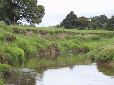 Waitangi at Waimate.