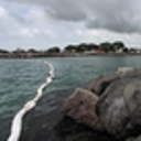Oil spill mop up continues