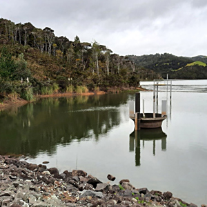Wilsons Dam 1 Crop Flip