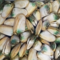 Shellfish gathering