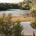 Taumārere River Working Group - 26 July