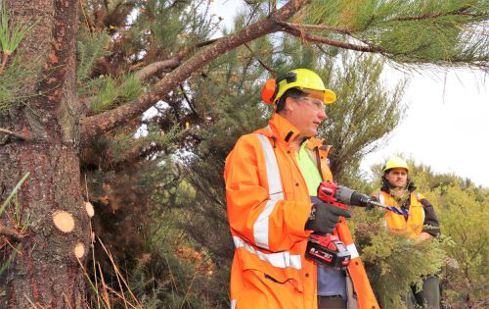Forestry workers.