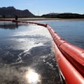 Report an incident or oil spill