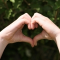 Our customer promise