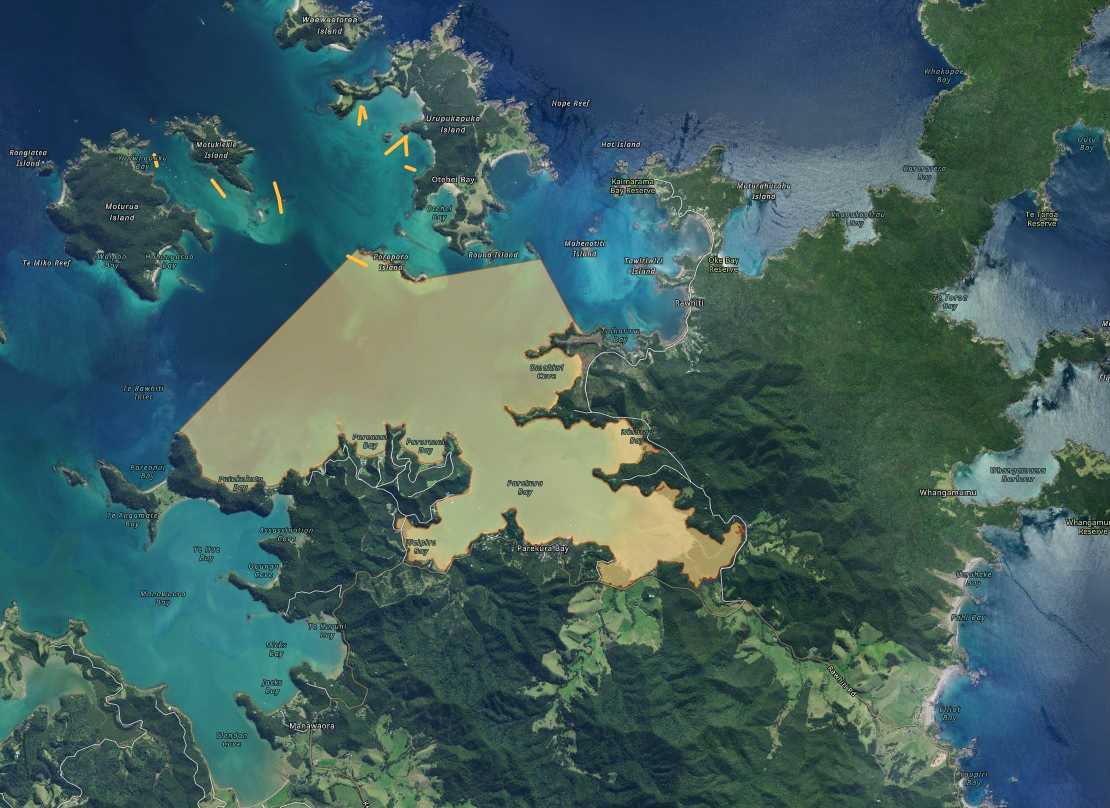 Map showing areas of the Bay of Islands where caulerpa has spread.