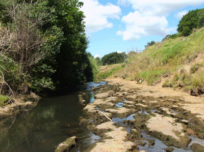 Awanui River, Kaitāia, during the drought conditions. 