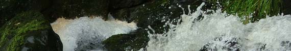 Stream flowing in AH Reed Memorial Park.