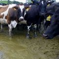 Managing wastewater