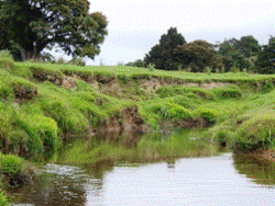 Photo 4: Waitangi River at Waimate