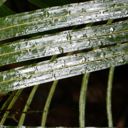 Joint Climate Change Adaptation Committee - 24 July