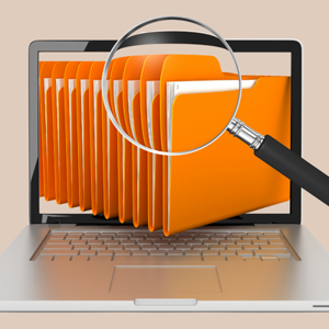 File Search Orange