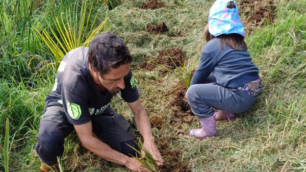 Aranga Planting Web