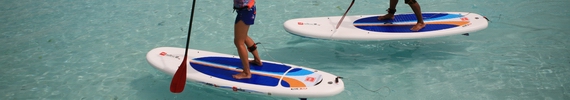 Two paddleboards on water. Two paddleboards on water.