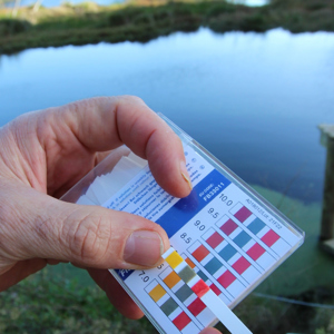 Water Test 16 9