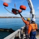 Oil spill exercise at Whangarei’s Port Nikau